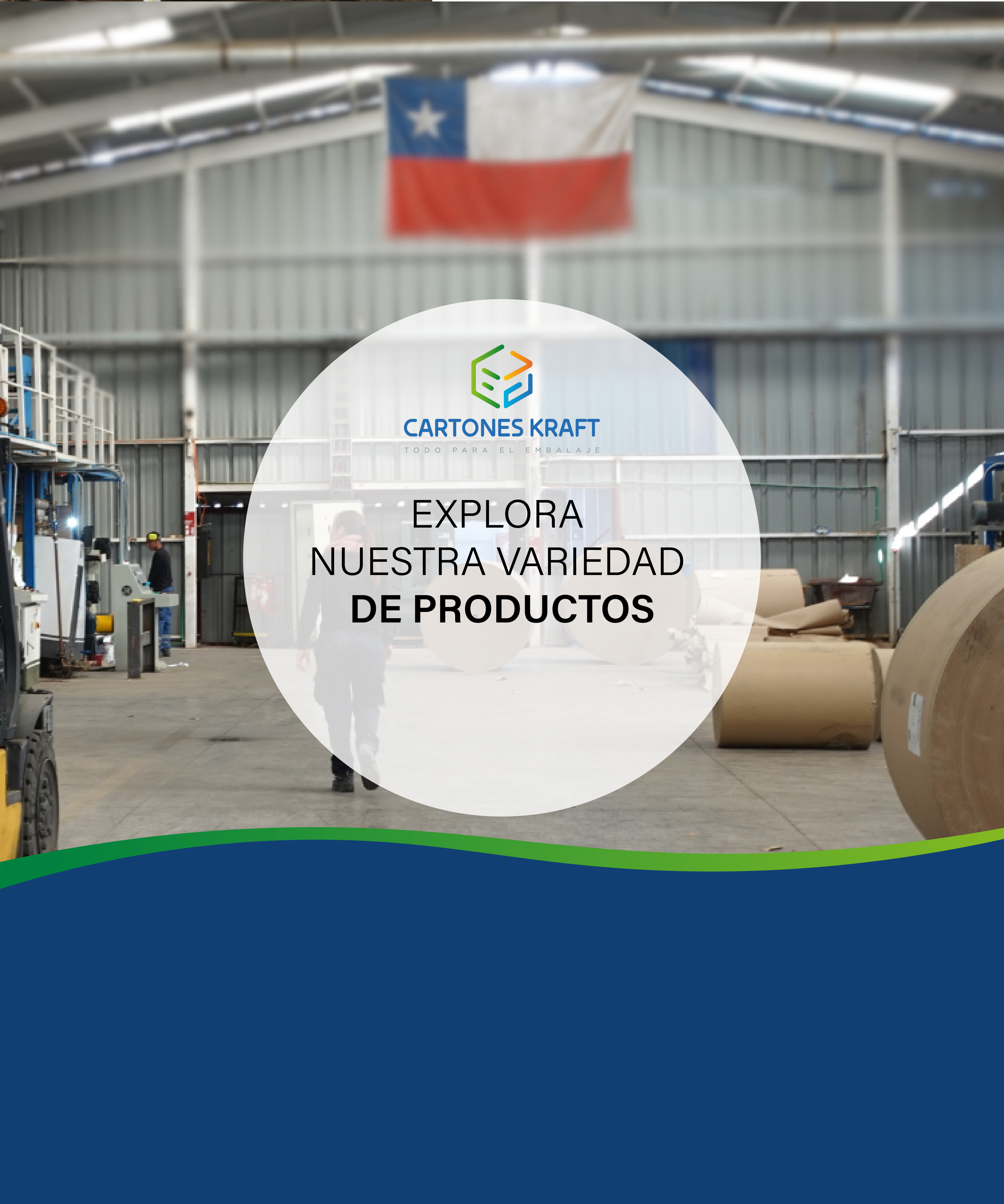 Banner-web-cartones-kraft-1000x1200px_2-2.png